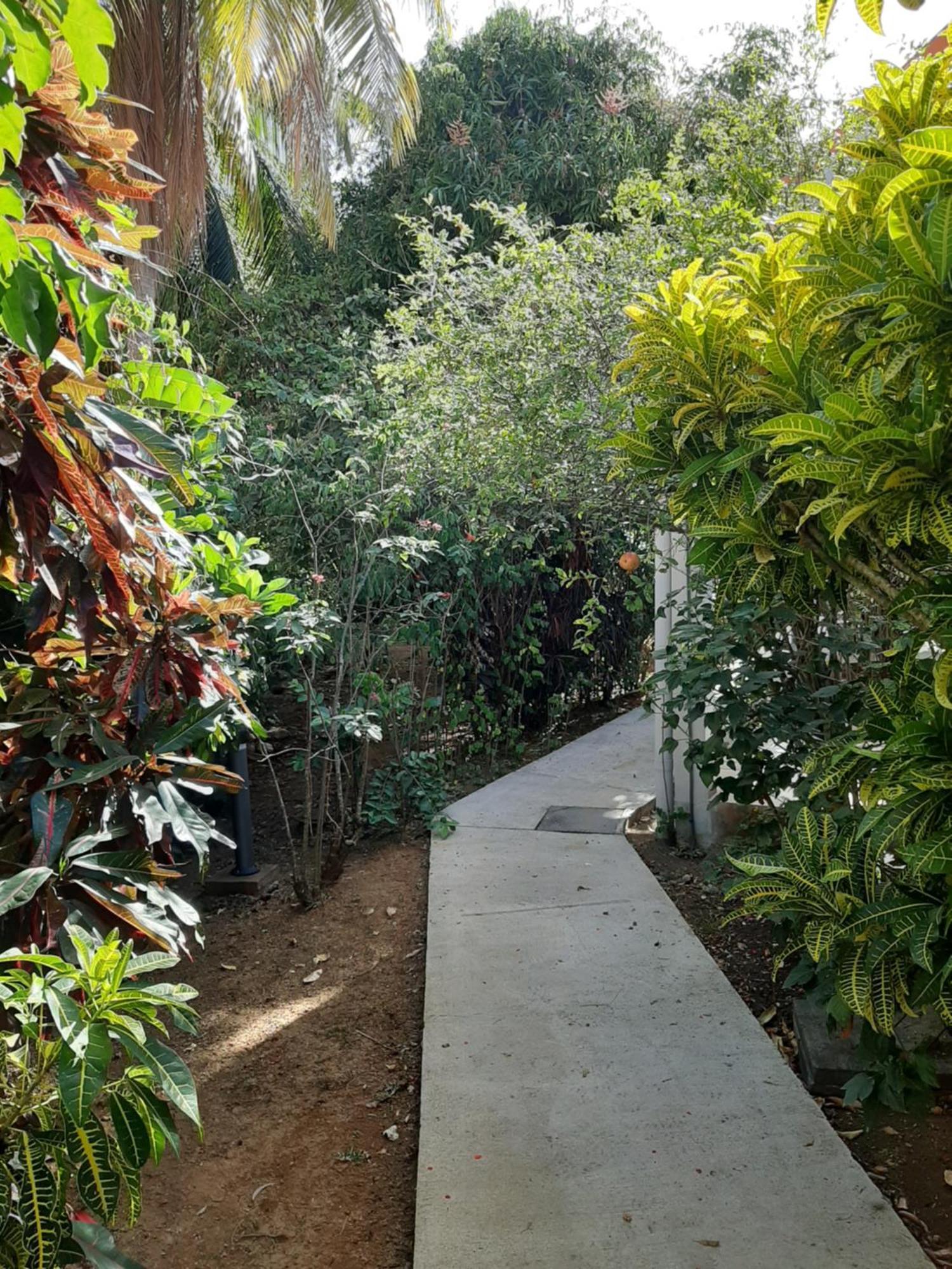 Grande Anse Residence Mon Refuge מראה חיצוני תמונה